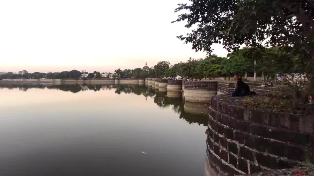 sonegao