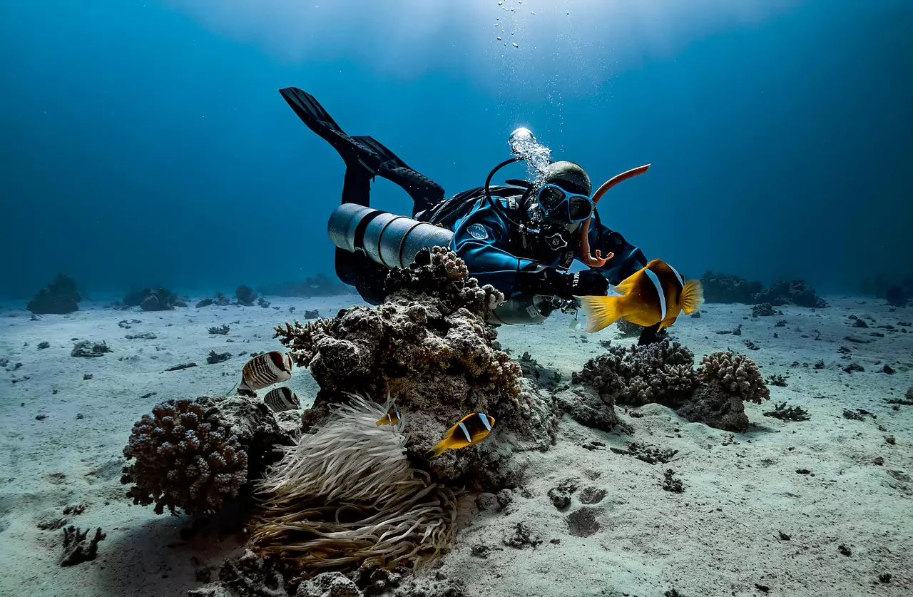 A New Era of Deep-Sea Discovery