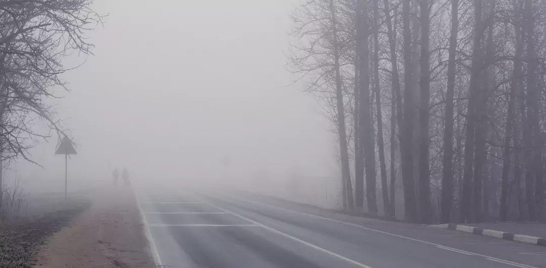 Fog Disrupts Flights & Trains in Nagpur: Full Report & Travel Advisory (29 November 2025)