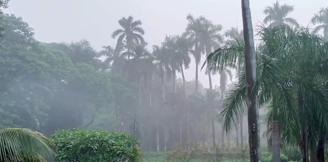 Nagpur Sees One of Its Coldest Nights as Mercury Drops to 9.6°C