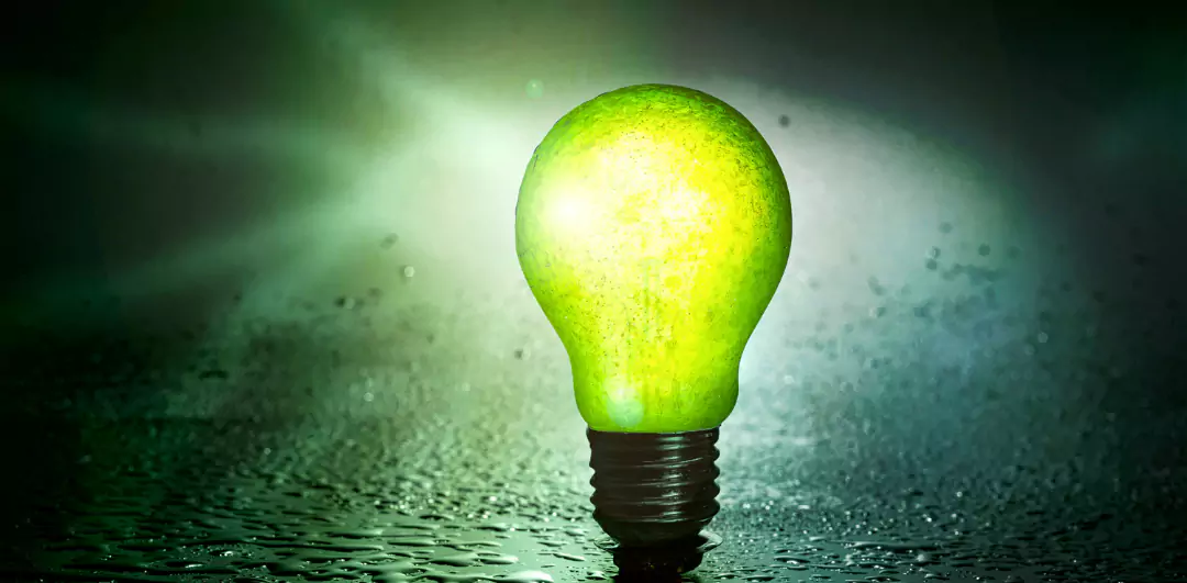 Future-Ready Vidarbha: Green Energy Plan Aims to Revamp Coal-Based Economy